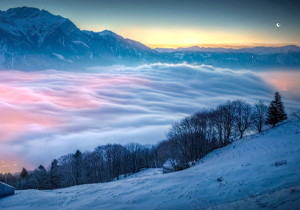 涨薪申请被扔进黑夜：一首写给打工人的职场诗